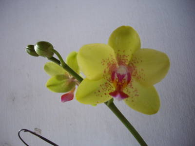 IMGP6011.JPG