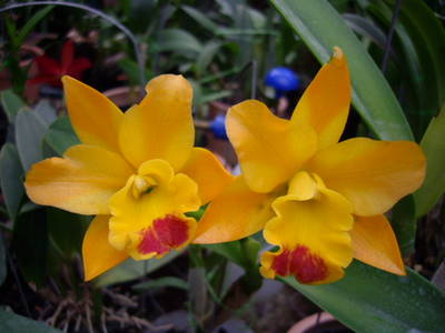 IMGP6163.JPG