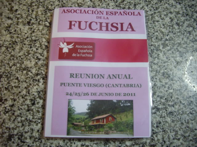 IMGP6985.jpg