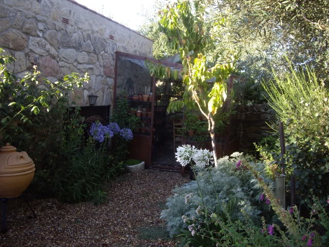 IMGP7037.jpg