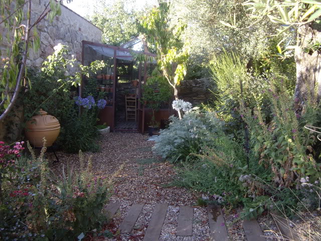 IMGP7039.jpg