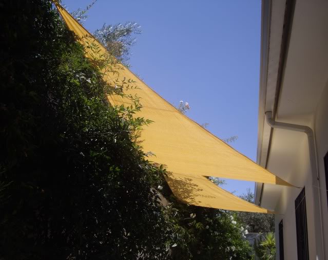 IMGP7077.jpg