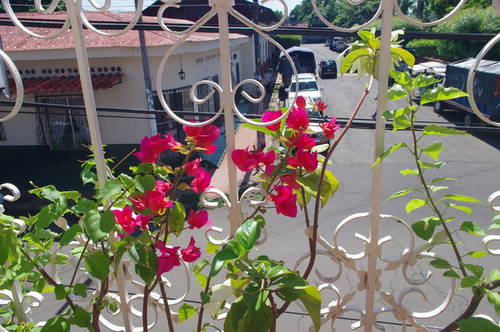IMGP8764_resize.JPG