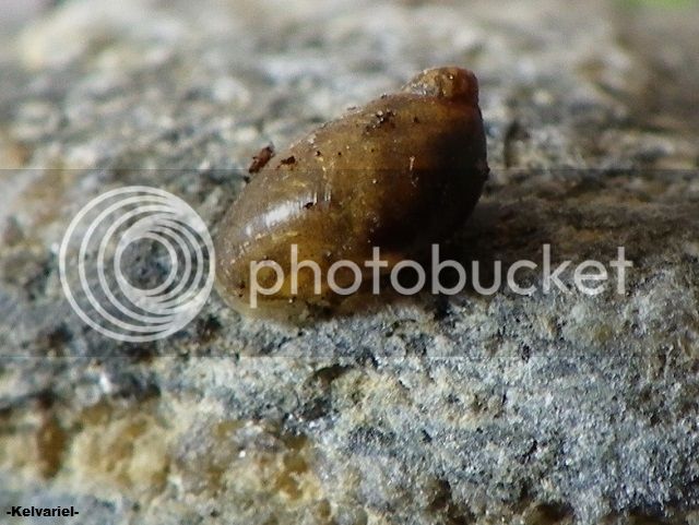 IMGP9892_zpse51ee121.jpg