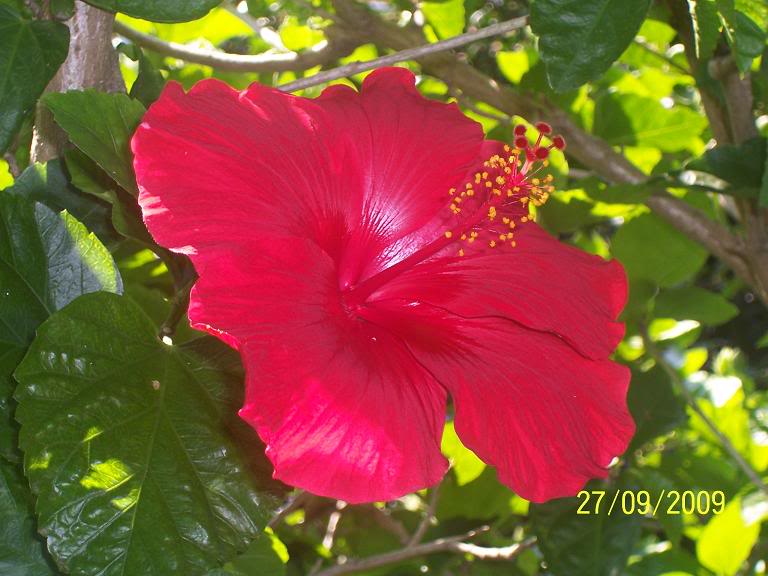 Immagine005rid.jpg
