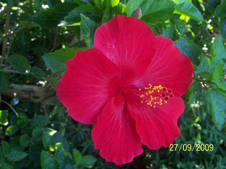 Immagine008rid.jpg