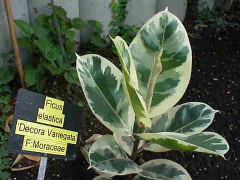 in064.jpg