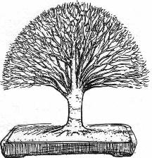 index_clip_image001.jpg