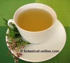 infusion-hierba-luisa.jpg
