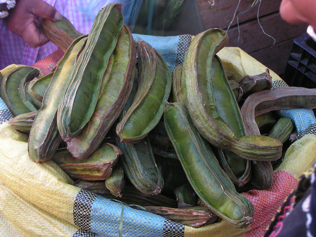 inga-feuilleei-pods.jpg