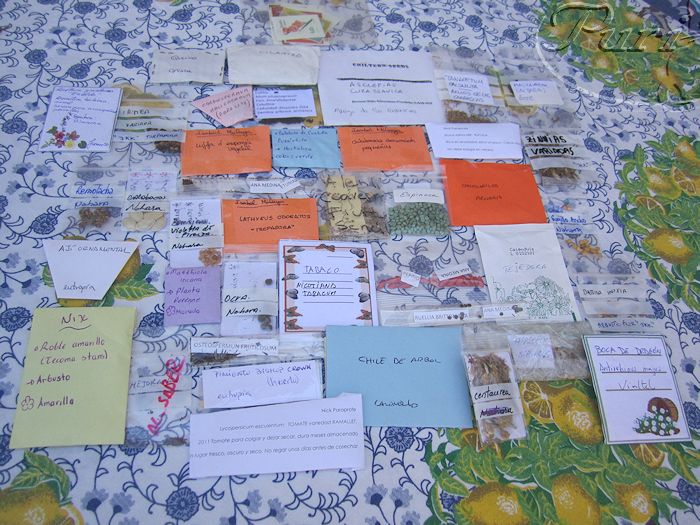 intercambio+internacional+septiembre+2011.jpg