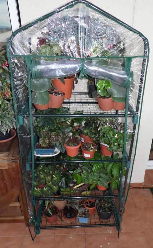 invernadero26102012.jpg