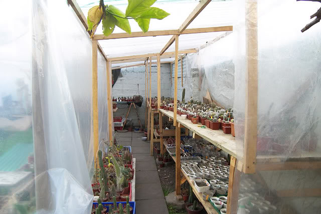 Invernadero_08083a.jpg