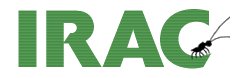 IRAC%20logo.jpg