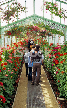 istockphoto_2505171_touring_the_royal_gardens.jpg