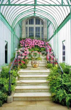 istockphoto_2509048_belgian_royal_gardens.jpg
