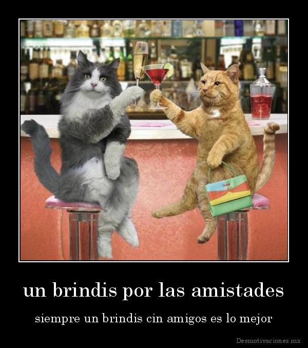 ivaciones.mx_un-brindis-por-las-amistades-siempre-un-brindis-cin-amigos-es-lo-mejor_133018357127.jpg