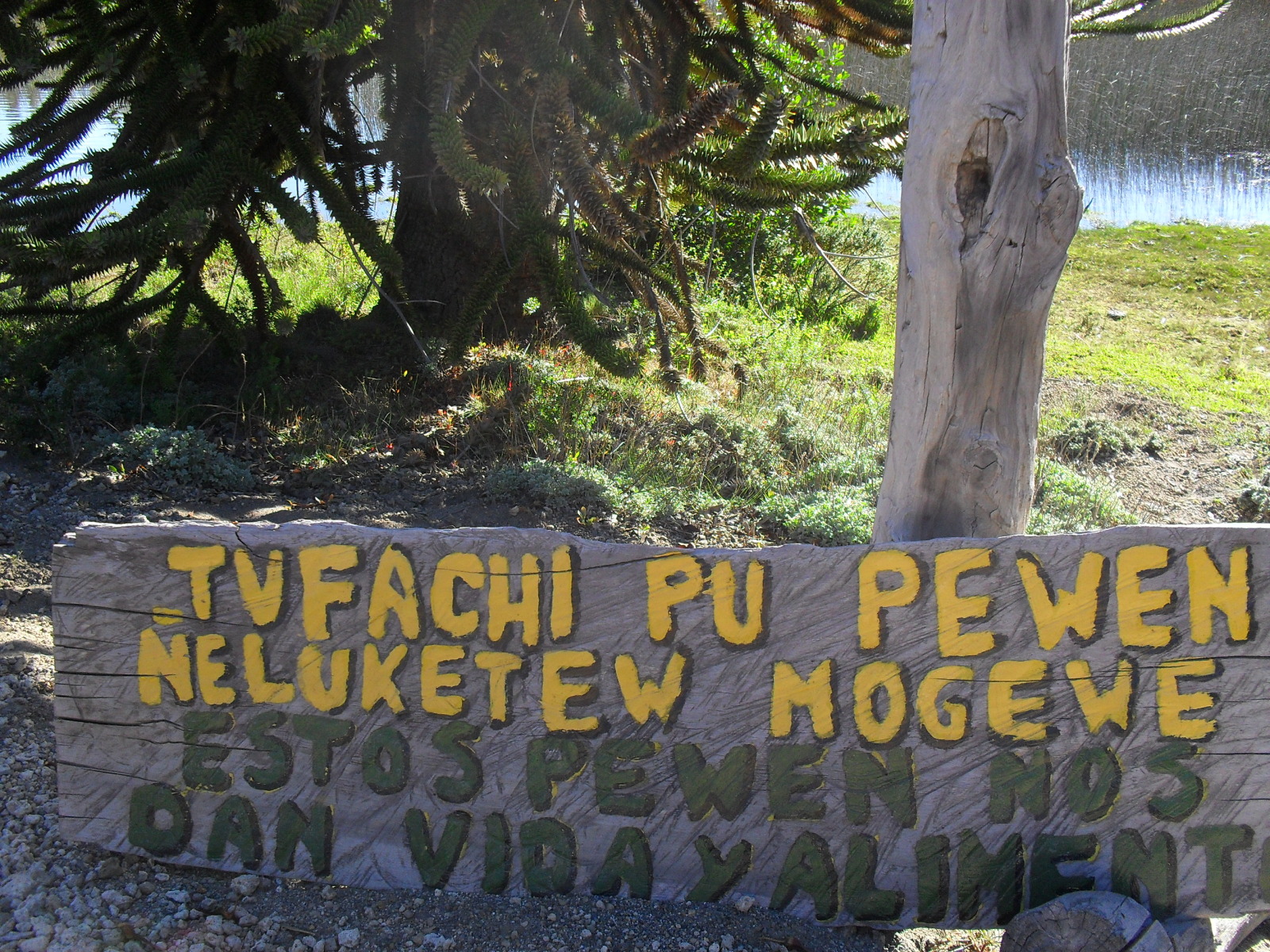 izrguf.jpg