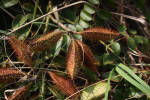 J1295541310536265_1.jpg