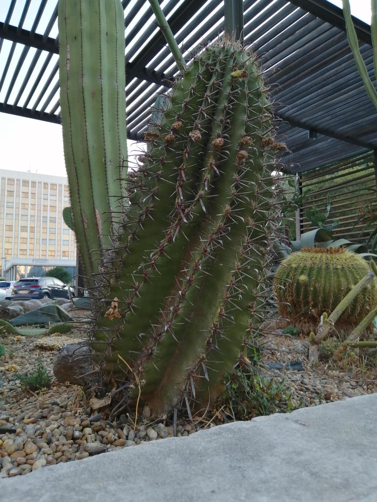 j1cqa1E.jpg