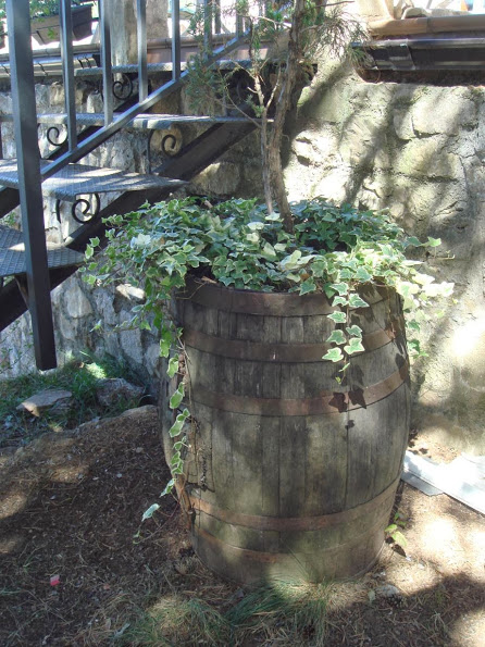 J20130917_018.jpg
