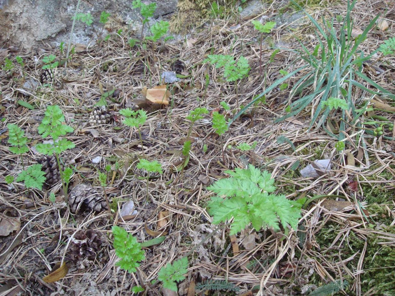 J20130917_044.jpg