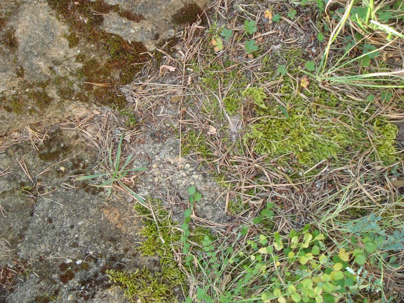 J20130917_046.jpg