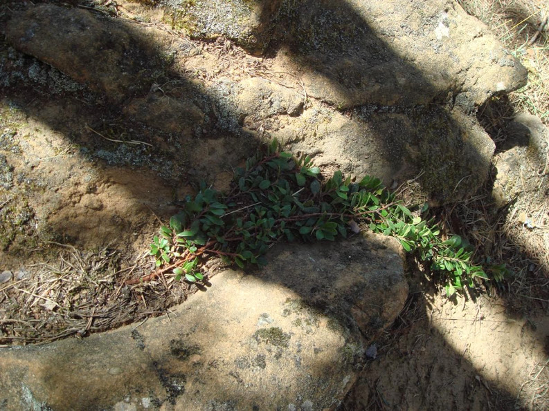 J20130917_050.jpg