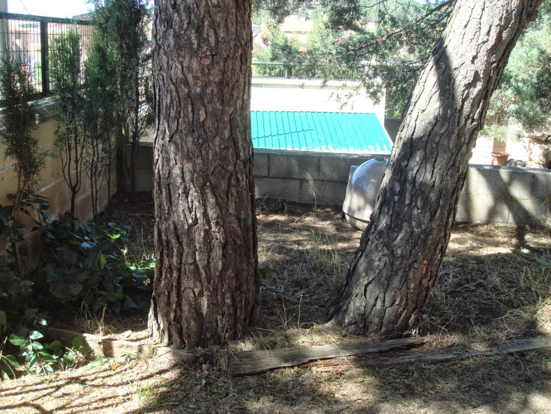 J20130917_071.jpg