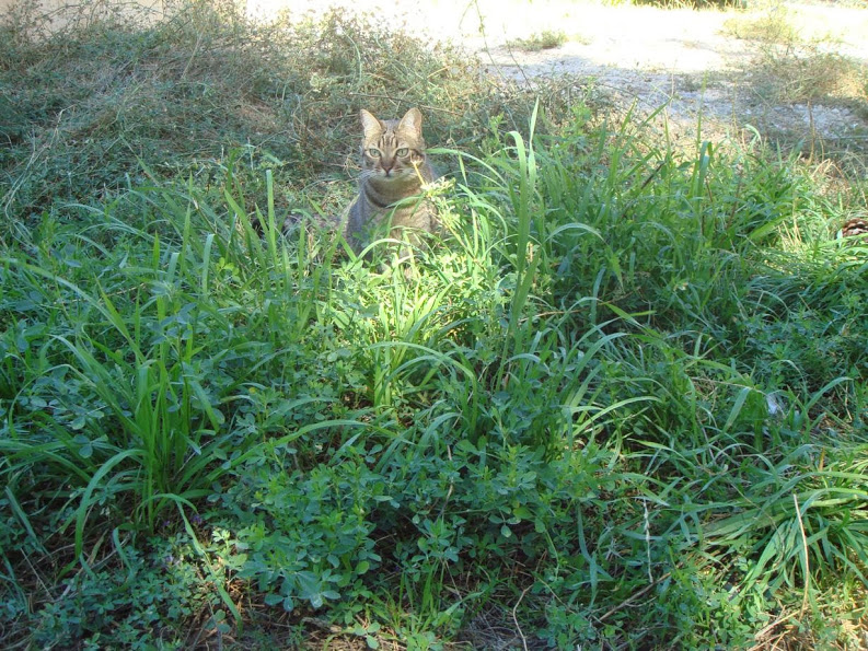 J20130917_107.jpg
