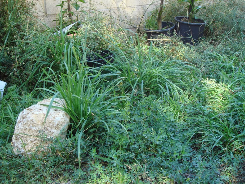 J20130917_108.jpg