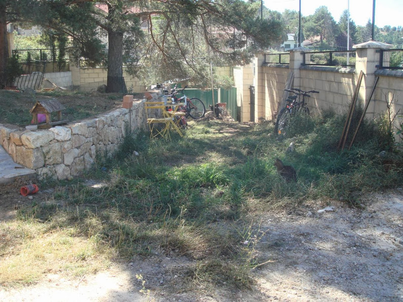 J20130917_113.jpg