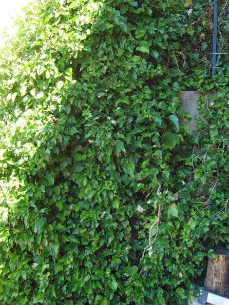 J20130917_118.jpg