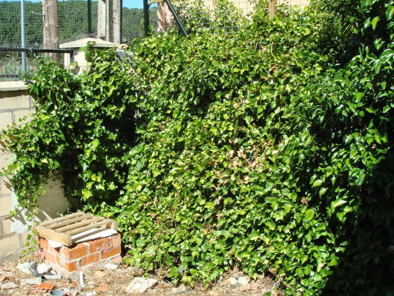 J20130917_119.jpg