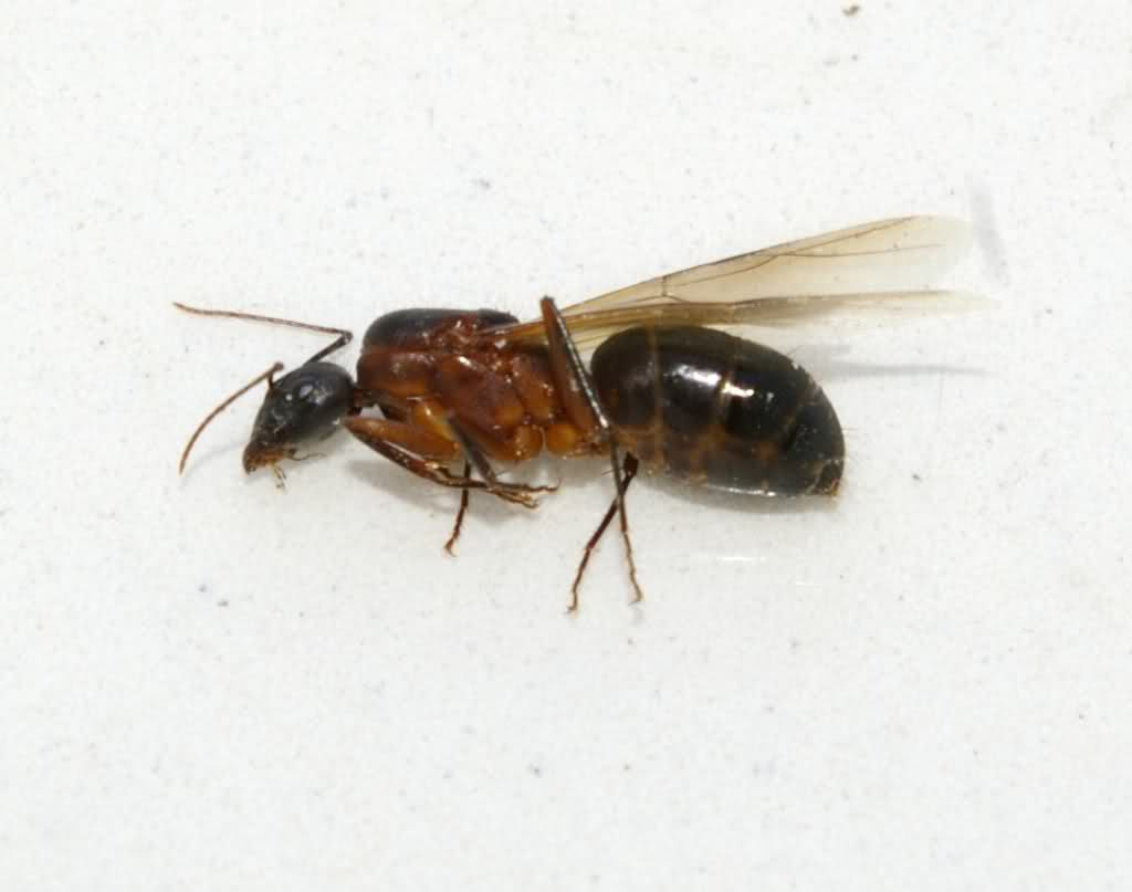 j73y1i.jpg