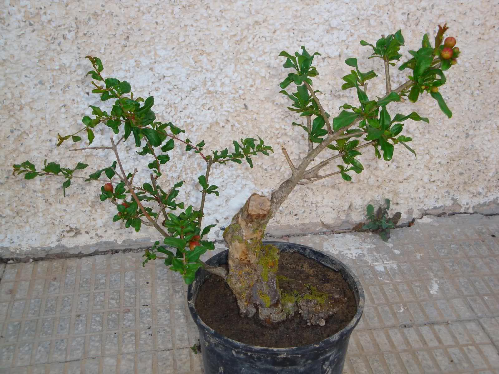 j9aa94.jpg