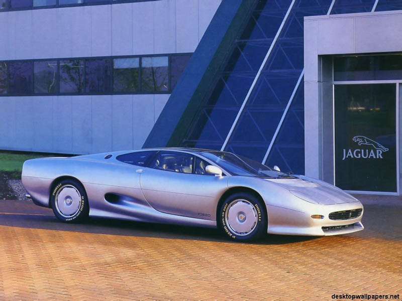 Jaguar-04_800.jpe