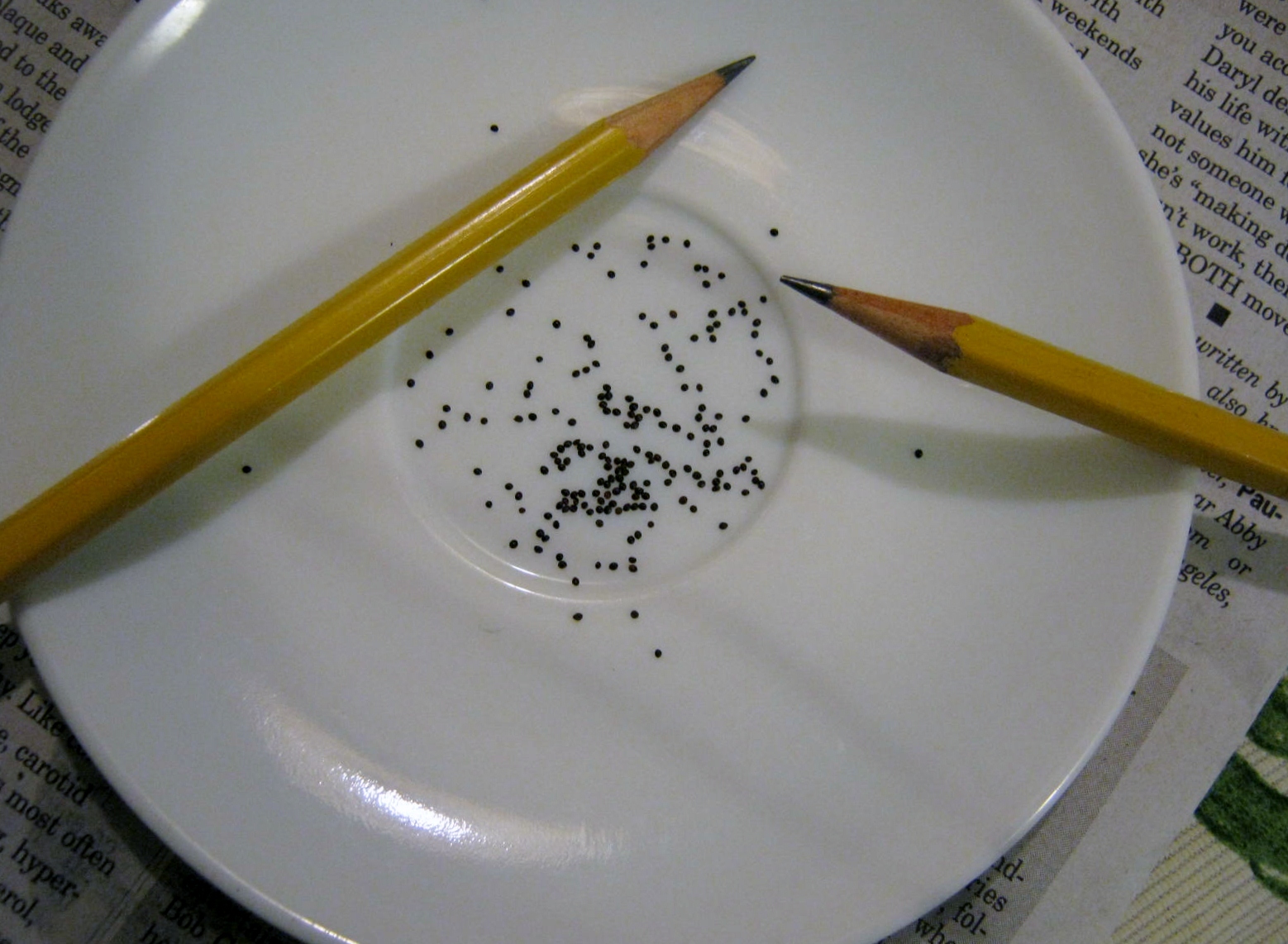 january-8-2012-004.jpg