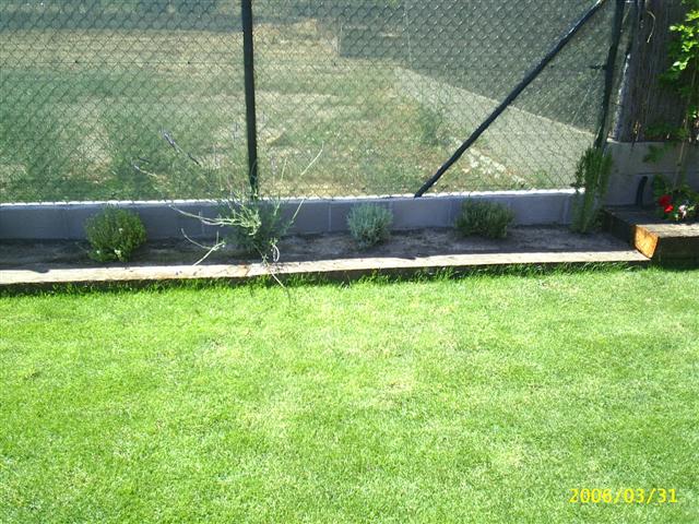 jardi%20acabat%20012%20%28Small%29.jpg