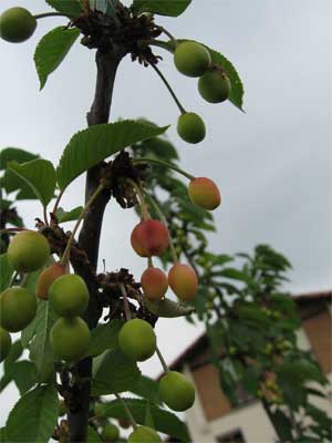 jardin-013-para-web.jpg
