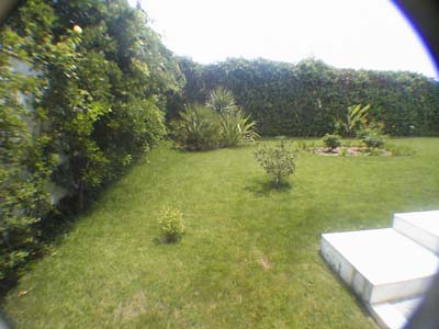 Jardin%20015.jpg