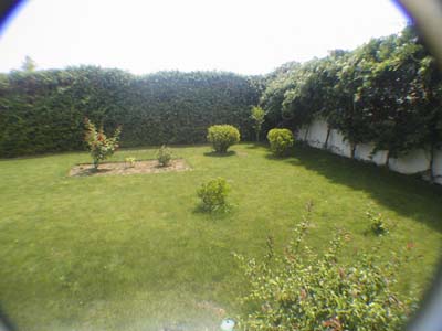 Jardin%20019%20reducidaJPG%7E0.jpg