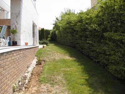 Jardin%20027reducidajpg.jpg
