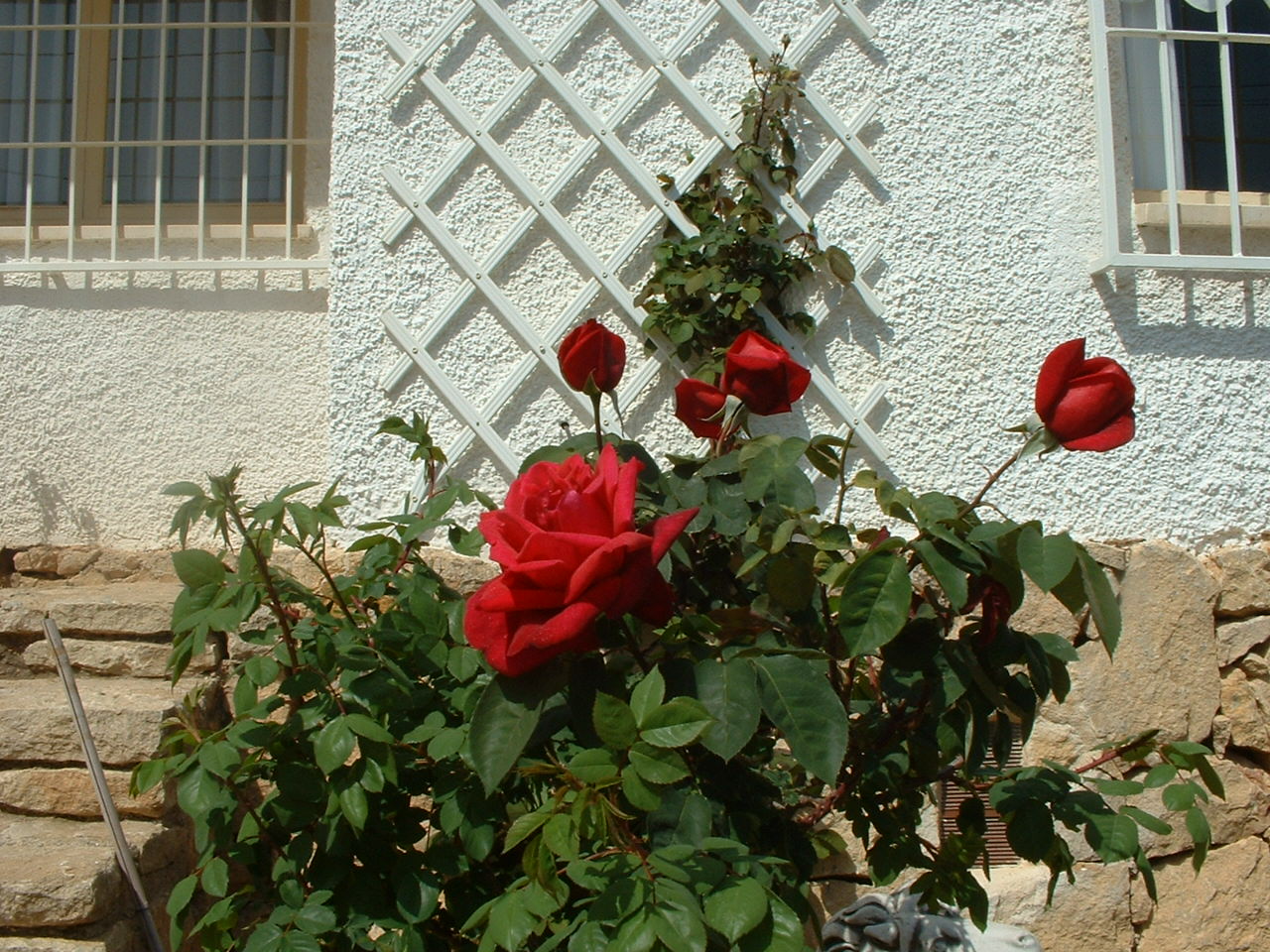jardin%20y%20peque%20011.jpg