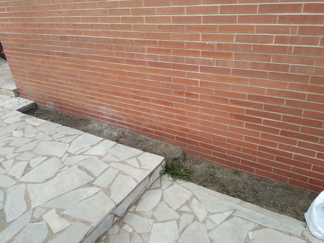 jardin-4.jpg