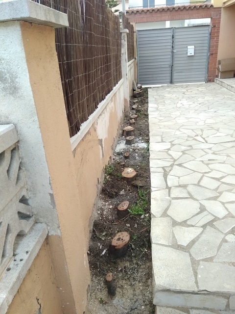 jardin-5.jpg