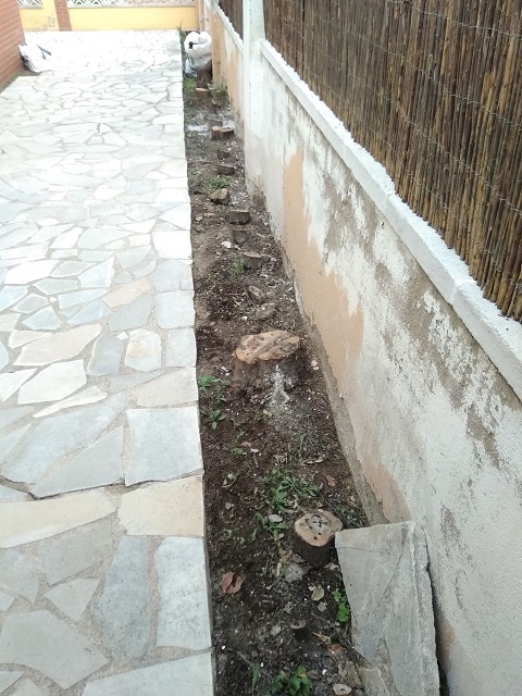 jardin-9.jpg
