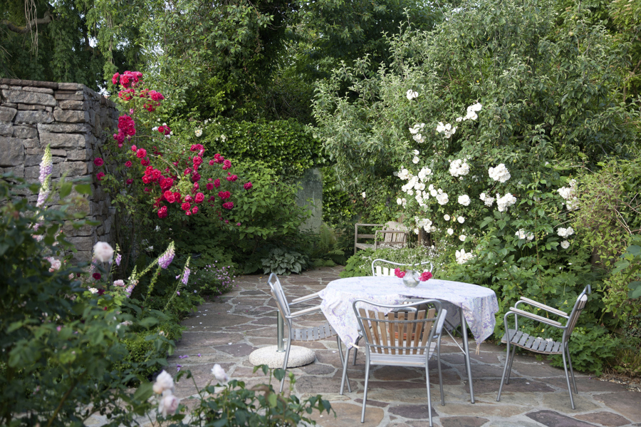 jardin-918031.jpg
