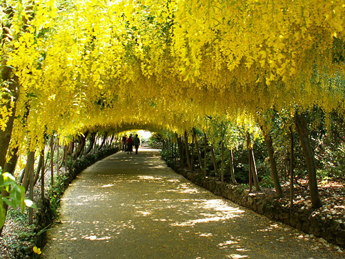 jardin-bondant.jpg