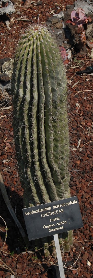 jardin+botanico+3-14.jpg
